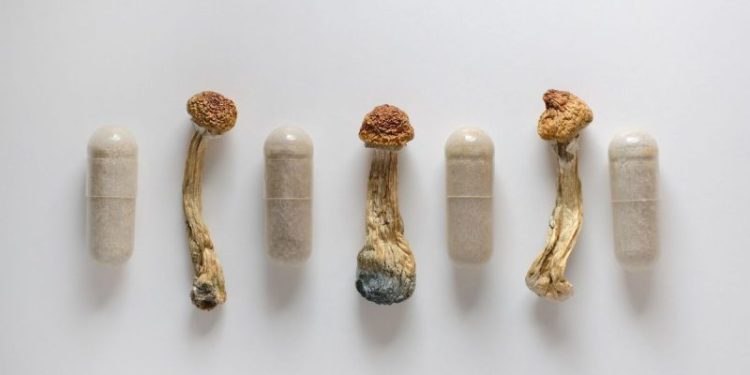 Psychedelics Market Update: H1 2025 in Review