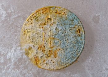 Crypto Market Update: Bitcoin Price Slide Continues Despite Rising Open Interest